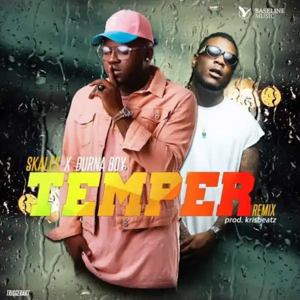 Skales - Temper (Instrumental)